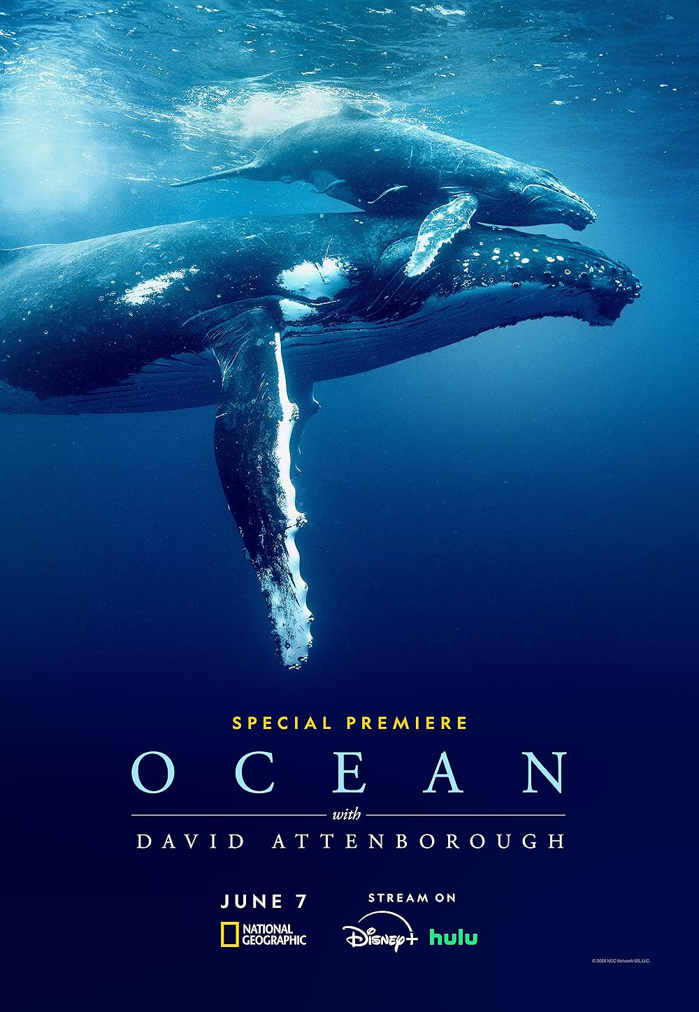ĐẠI DƯƠNG VỚI DAVID ATTENBOROUGH