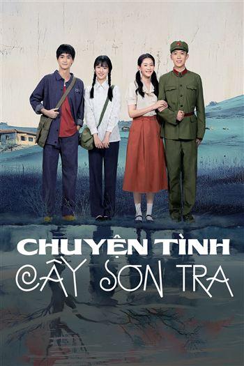 CHUYỆN TÌNH CÂY SƠN TRA