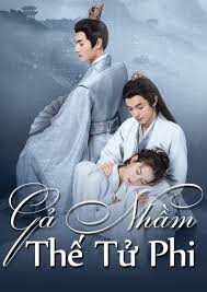 GẢ NHẦM THẾ TỬ PHI